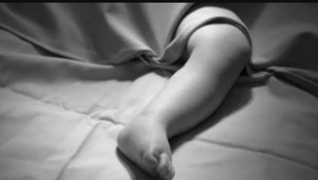 पलामू में मिला नवजात का कटा सिर, इलाके में सनसनी — बलि की आशंका, पुलिस ने शुरू की जांच